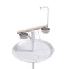 Bird Stand - as picture