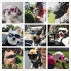 Pet Goggles Dog UV Protection Glasses Waterproof Windproof Anti-Fog Eye Glasses - White
