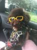 Pet Goggles Dog UV Protection Glasses Waterproof Windproof Anti-Fog Eye Glasses - Yellow