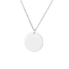 Personalized Gifts For Mom Unique Jewelry Pet Photo Cust Om (Option: Silver-2pendant-35cm)